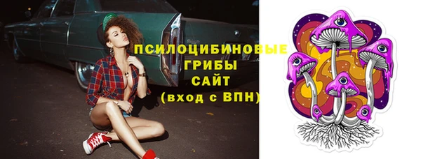 apvp Богородицк