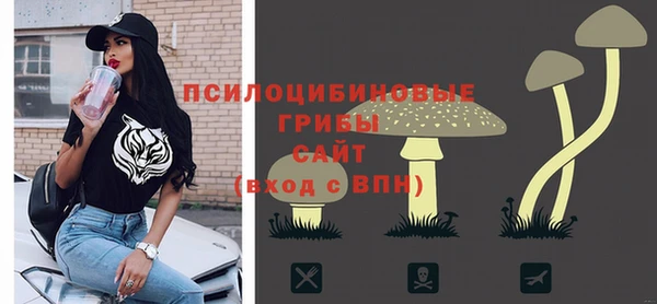 метамфетамин Богданович