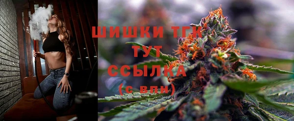 метамфетамин Богданович